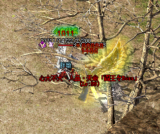 单职业私服关于如何顺利闯天关的技巧总结